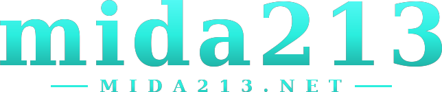 mida213 logo